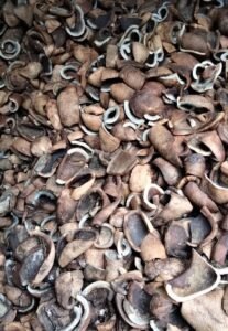 WhatsApp Image 2026-02-23 at 16.42.33 (2)